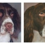 PictoArt Collage