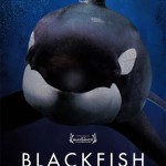 blackfish poster
