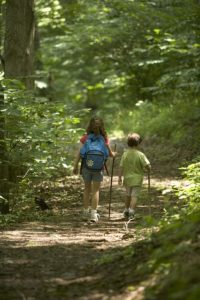 Five Kid-Friendly Hikes Near Las Vegas??