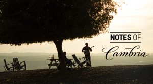 A Day of Wine and Roses – with Cambria