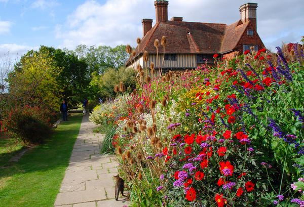 cat-among-the-pigeons-at-great-dixter-2_l