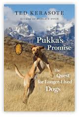 Book Reviews: Pukka’s Promise