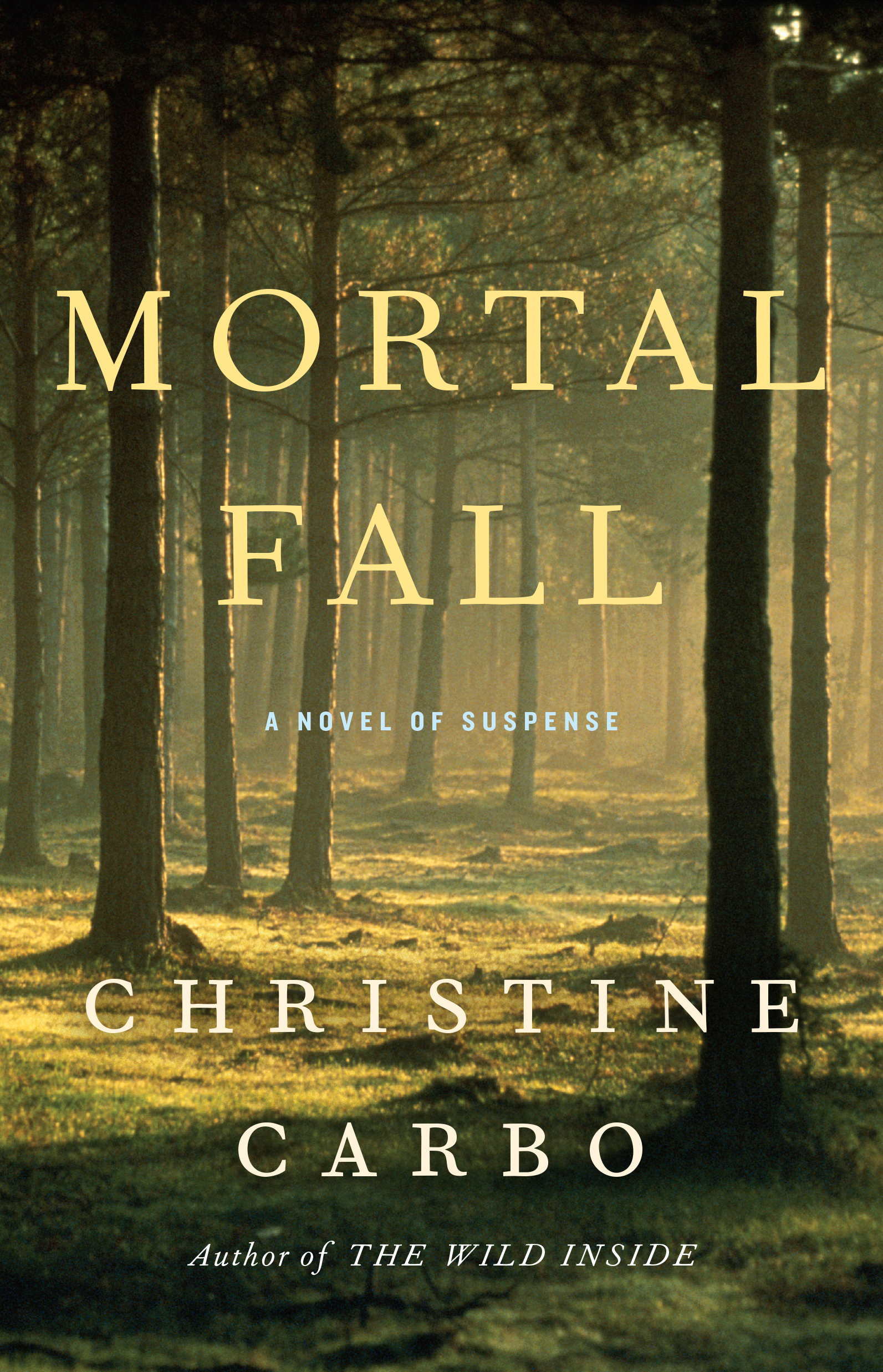 Book review: Mortal Fall