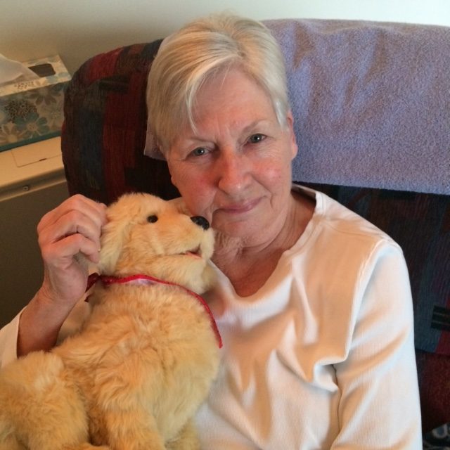 Seniors +The Holidays + Hasbro’s Joy for All Pets (Pup and Cat) = Love