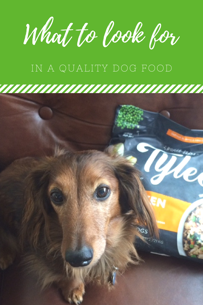Chewy.com Introduces Tylee’s Cooked Human Grade Dog Food