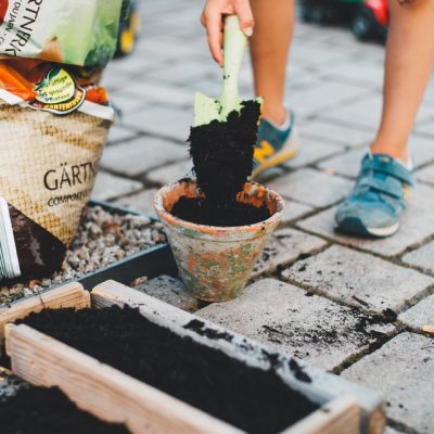 Things You Can Do Right Now To Make Your Home Garden A Better Place