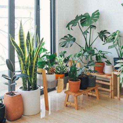 How to Extend Your Home to the Outdoors and Bring a Little Nature Inside